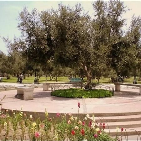 B&B El Olivar リマ エクステリア 写真