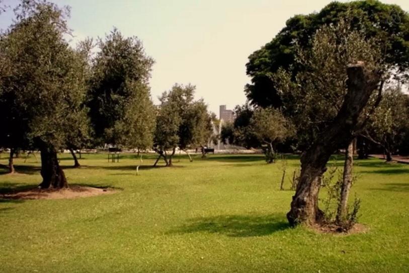 B&B El Olivar リマ エクステリア 写真
