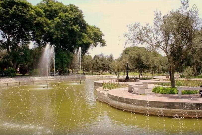 B&B El Olivar リマ エクステリア 写真
