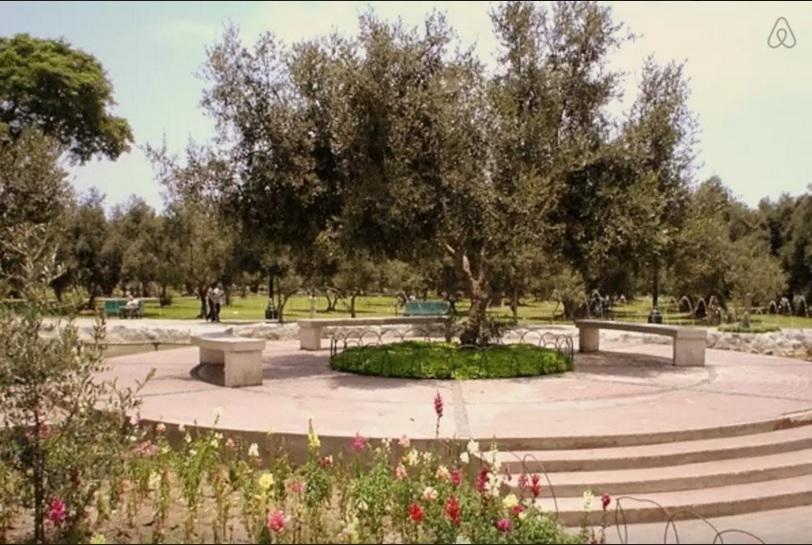 B&B El Olivar リマ エクステリア 写真